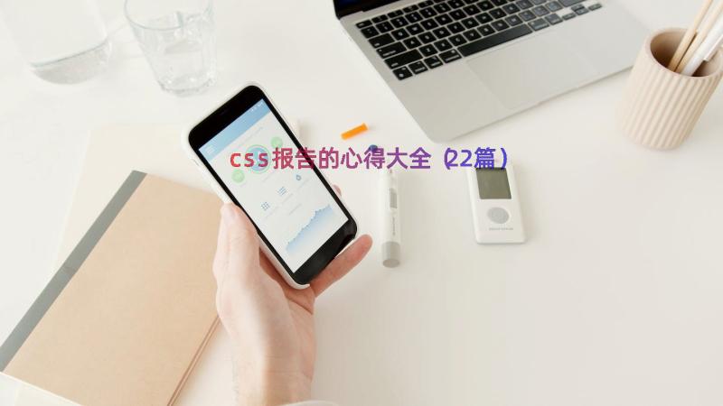 css报告的心得大全（22篇）