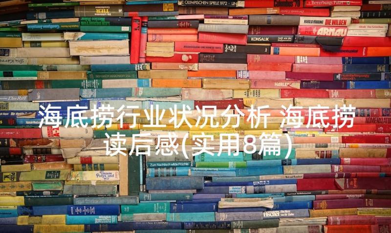 海底捞行业状况分析 海底捞读后感(实用8篇)