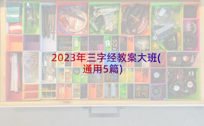 2023年三字经教案大班(通用5篇)