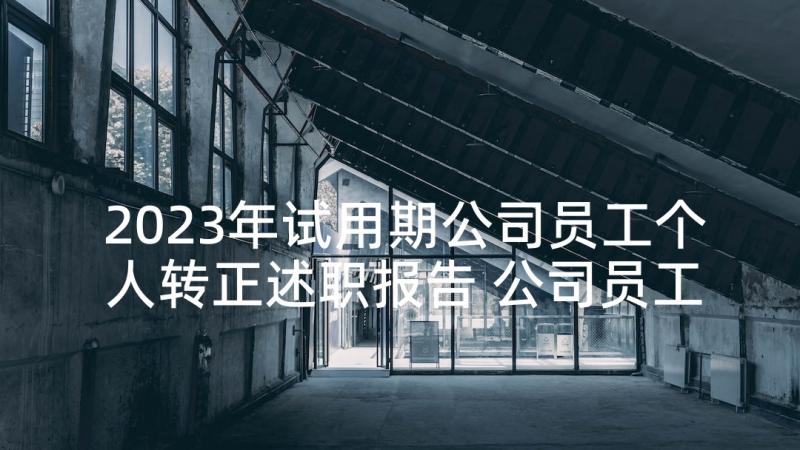 2023年试用期公司员工个人转正述职报告 公司员工试用期转正述职报告(汇总6篇)