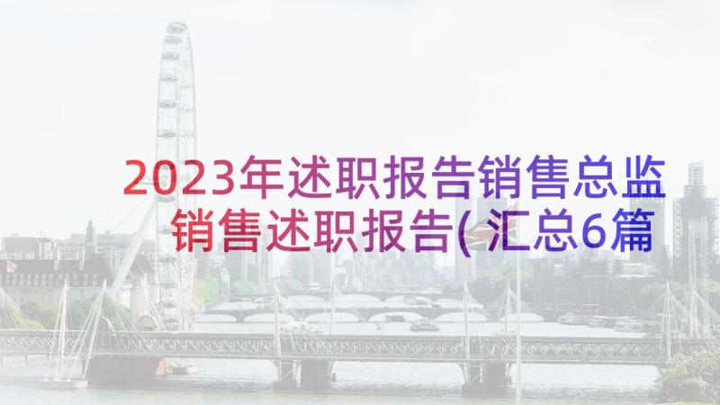 2023年述职报告销售总监 销售述职报告(汇总6篇)