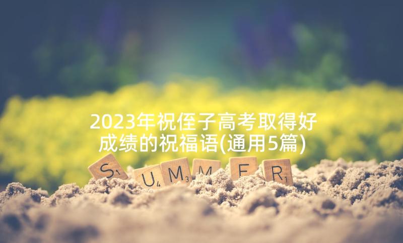 2023年祝侄子高考取得好成绩的祝福语(通用5篇)