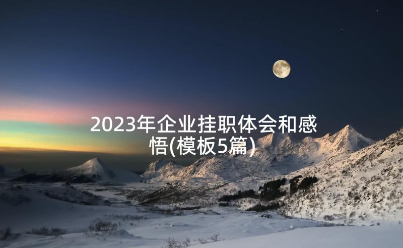 2023年企业挂职体会和感悟(模板5篇)