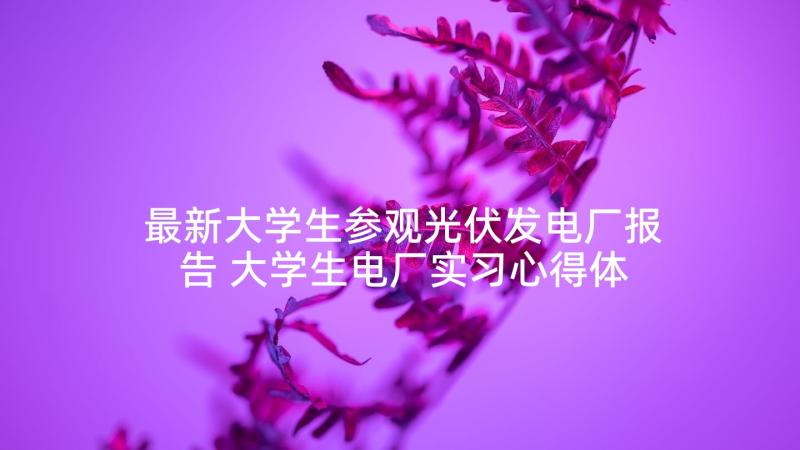 最新大学生参观光伏发电厂报告 大学生电厂实习心得体会(通用5篇)