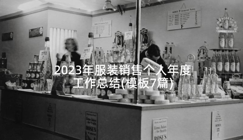 2023年服装销售个人年度工作总结(模板7篇)