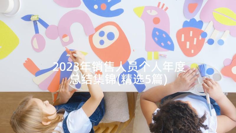 2023年销售人员个人年度总结集锦(精选5篇)