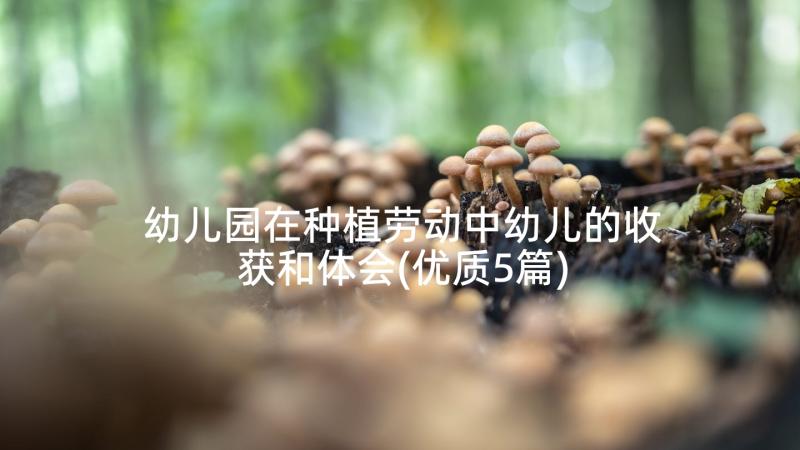 幼儿园在种植劳动中幼儿的收获和体会(优质5篇)