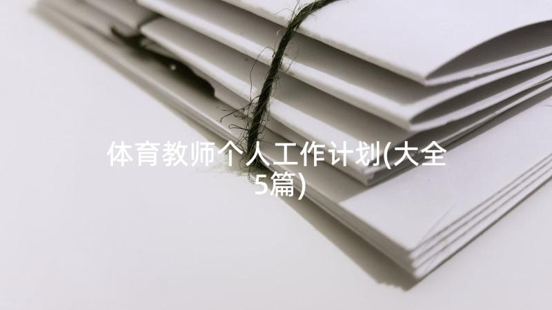 体育教师个人工作计划(大全5篇)