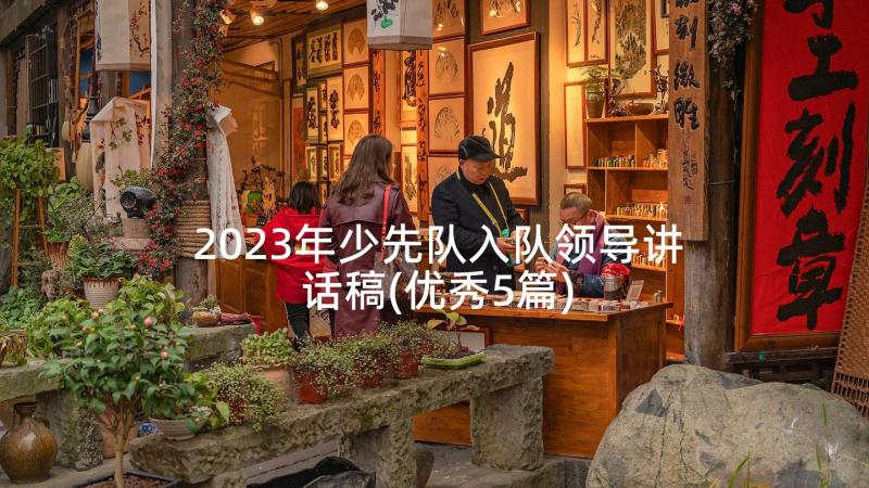 2023年少先队入队领导讲话稿(优秀5篇)