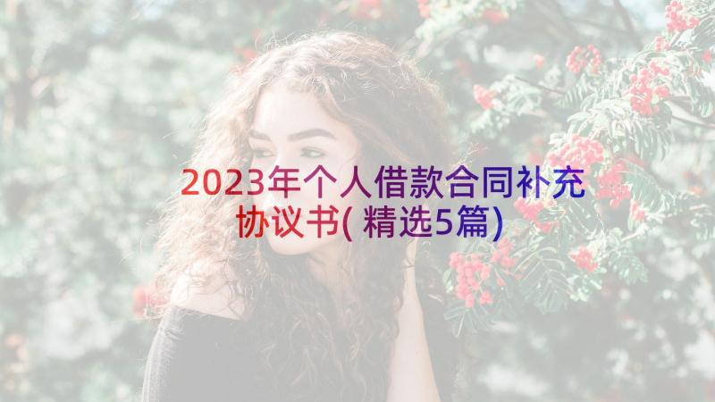 2023年个人借款合同补充协议书(精选5篇)