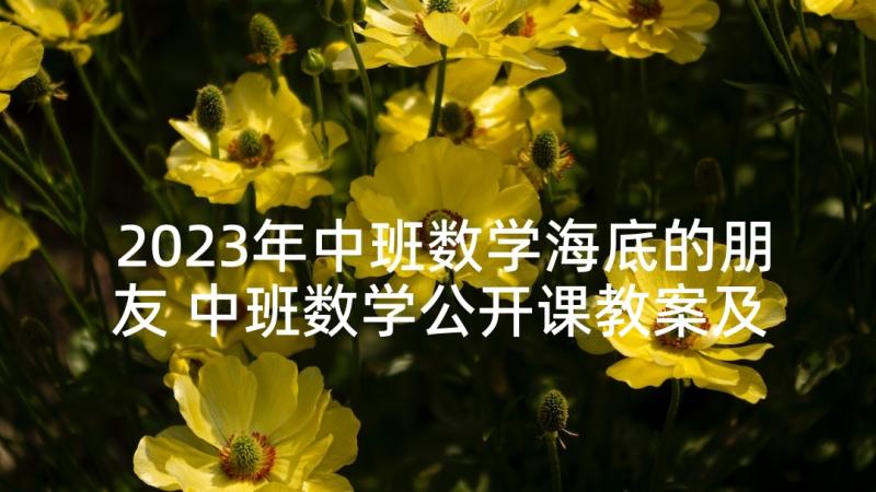 2023年中班数学海底的朋友 中班数学公开课教案及教学反思找朋友(汇总5篇)