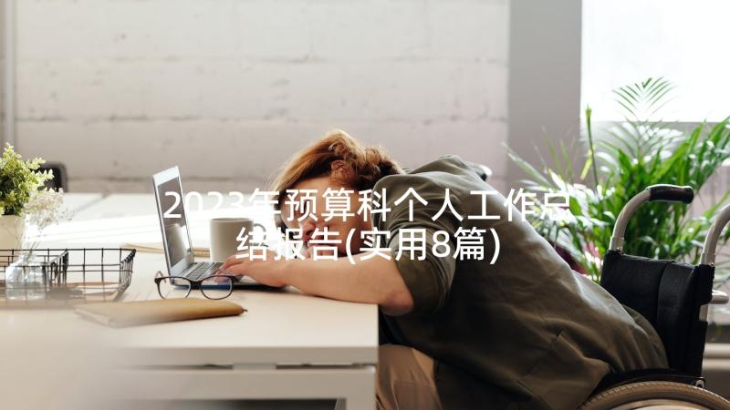 2023年预算科个人工作总结报告(实用8篇)