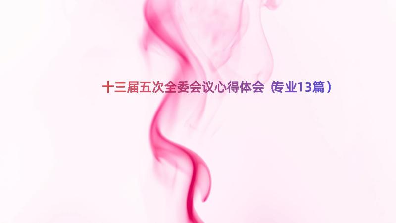 十三届五次全委会议心得体会（专业13篇）