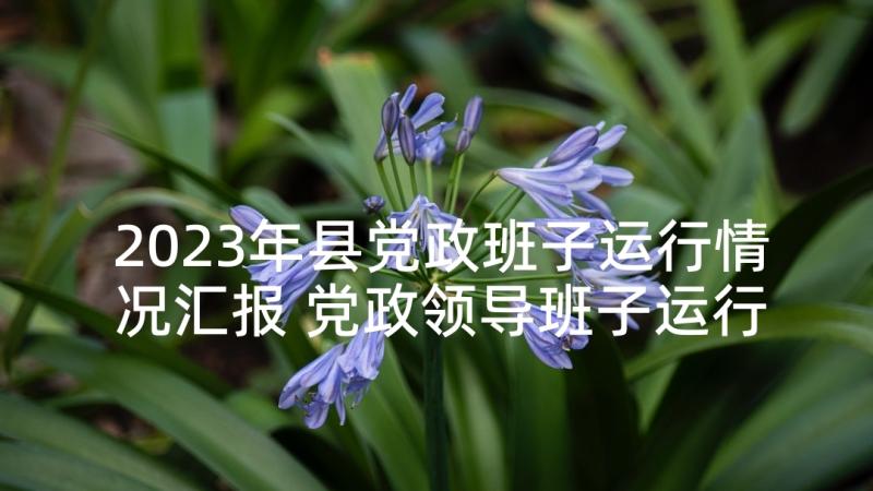 2023年县党政班子运行情况汇报 党政领导班子运行情况分析报告(实用5篇)