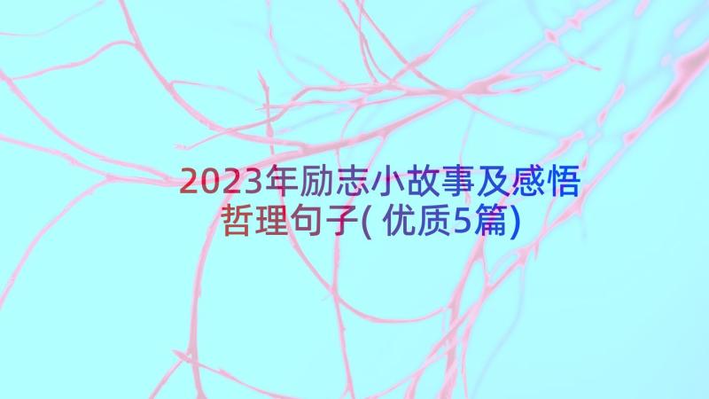 2023年励志小故事及感悟哲理句子(优质5篇)