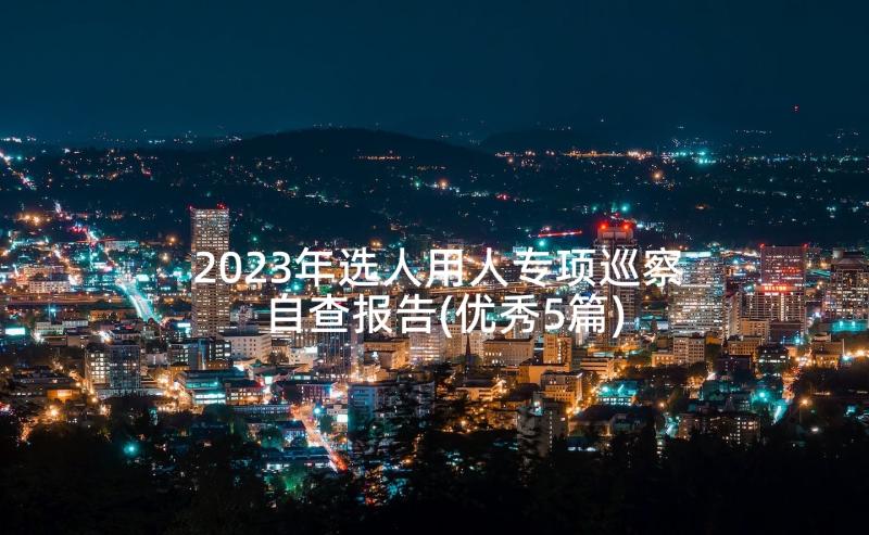 2023年选人用人专项巡察自查报告(优秀5篇)