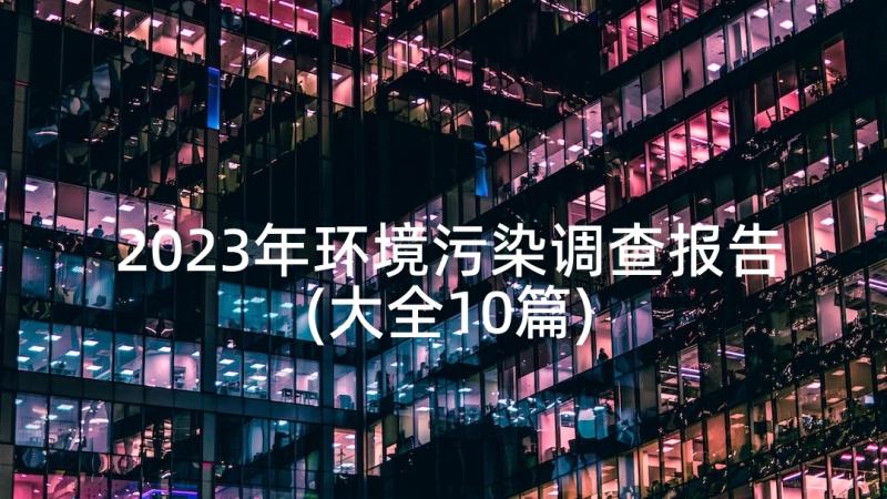 2023年环境污染调查报告(大全10篇)