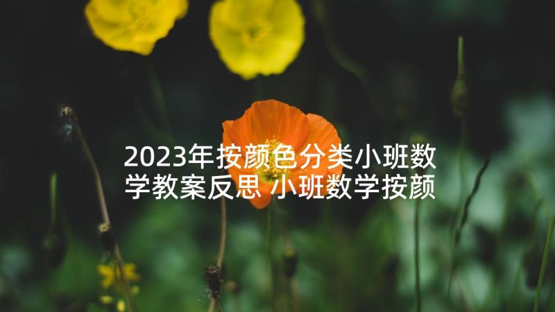 2023年按颜色分类小班数学教案反思 小班数学按颜色分类教案(大全10篇)