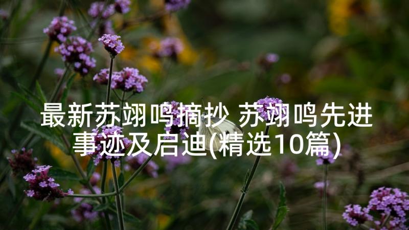 最新苏翊鸣摘抄 苏翊鸣先进事迹及启迪(精选10篇)