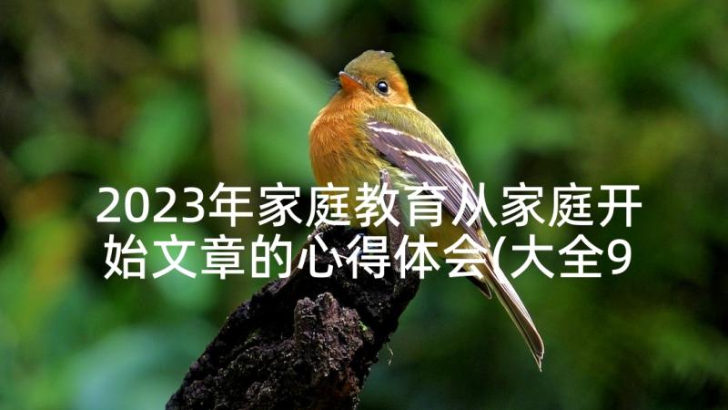 2023年家庭教育从家庭开始文章的心得体会(大全9篇)