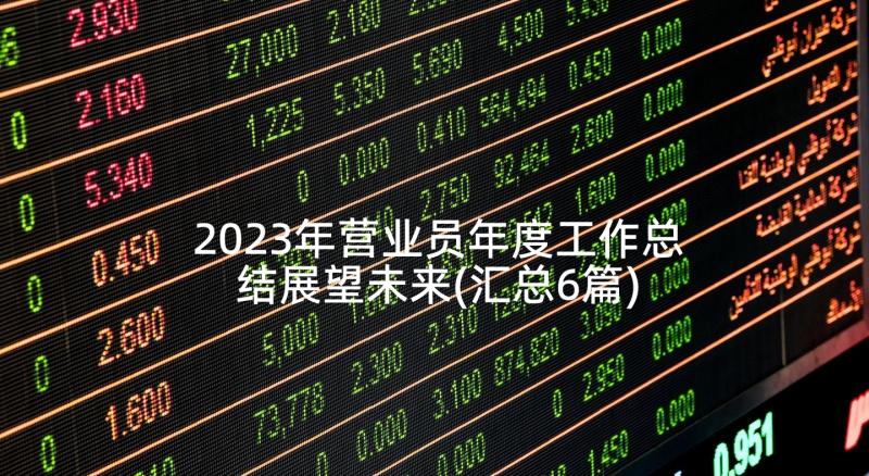 2023年营业员年度工作总结展望未来(汇总6篇)