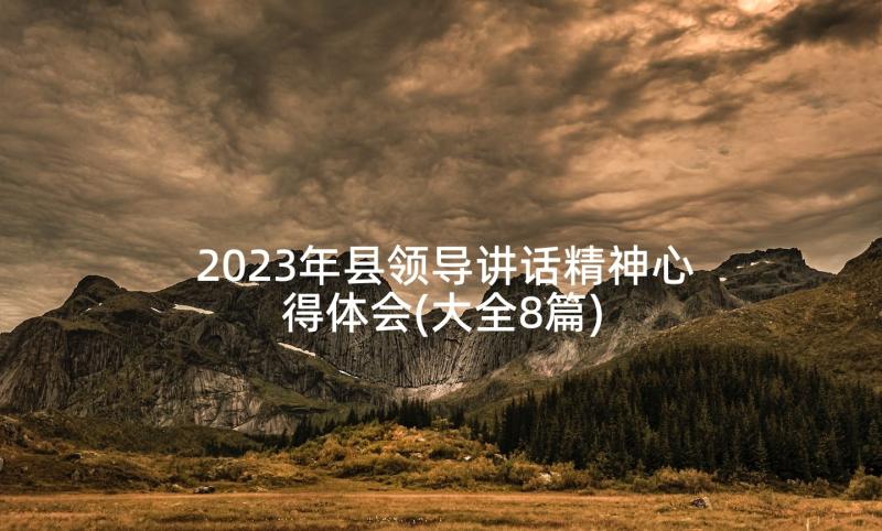 2023年县领导讲话精神心得体会(大全8篇)