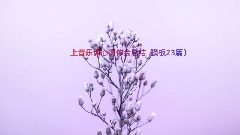 上音乐课心得体会总结（模板23篇）