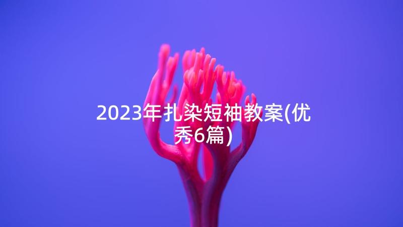 2023年扎染短袖教案(优秀6篇)