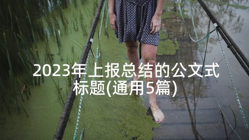 2023年上报总结的公文式标题(通用5篇)