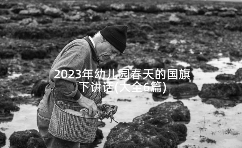 2023年幼儿园春天的国旗下讲话(大全6篇)