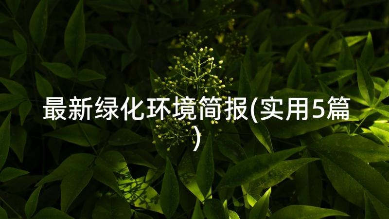 最新绿化环境简报(实用5篇)