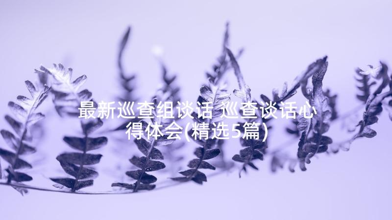 最新巡查组谈话 巡查谈话心得体会(精选5篇)