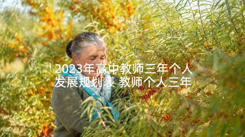 2023年高中教师三年个人发展规划表 教师个人三年发展规划(通用5篇)