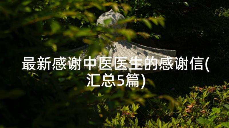 最新感谢中医医生的感谢信(汇总5篇)