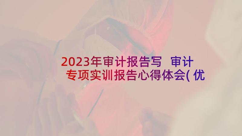 2023年审计报告写 审计专项实训报告心得体会(优秀5篇)