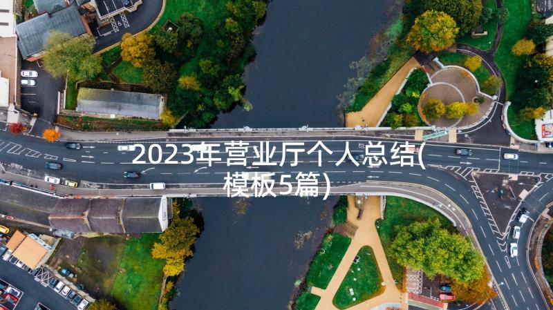 2023年营业厅个人总结(模板5篇)