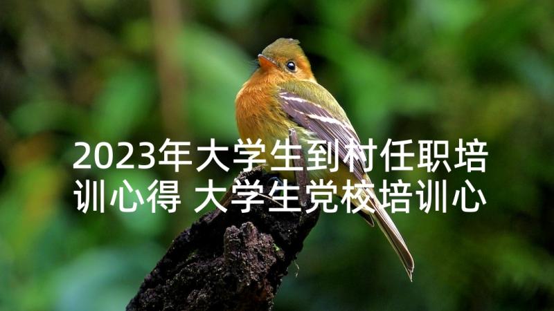 2023年大学生到村任职培训心得 大学生党校培训心得体会(精选5篇)