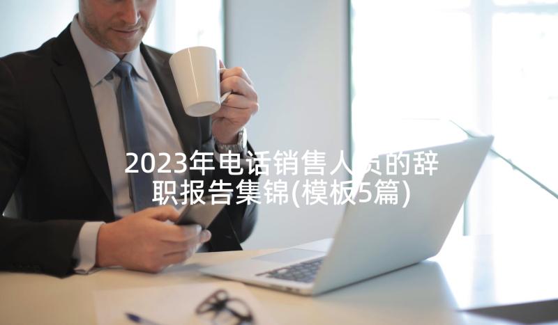 2023年电话销售人员的辞职报告集锦(模板5篇)