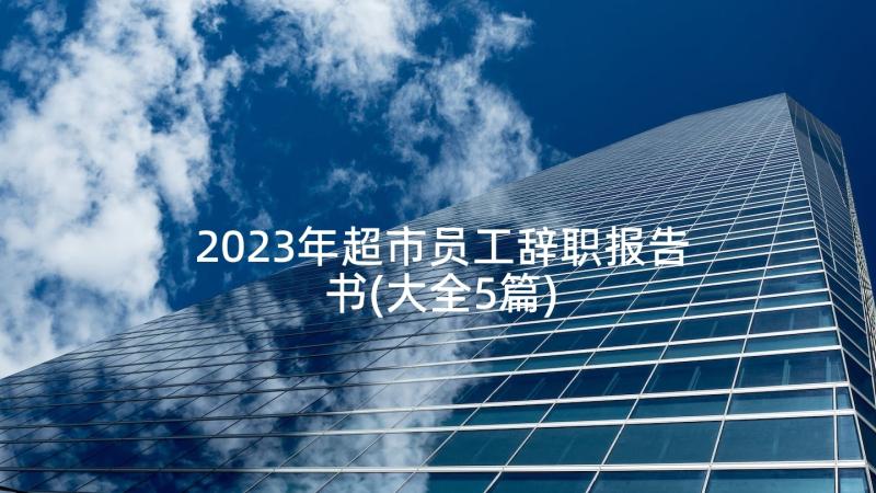 2023年超市员工辞职报告书(大全5篇)