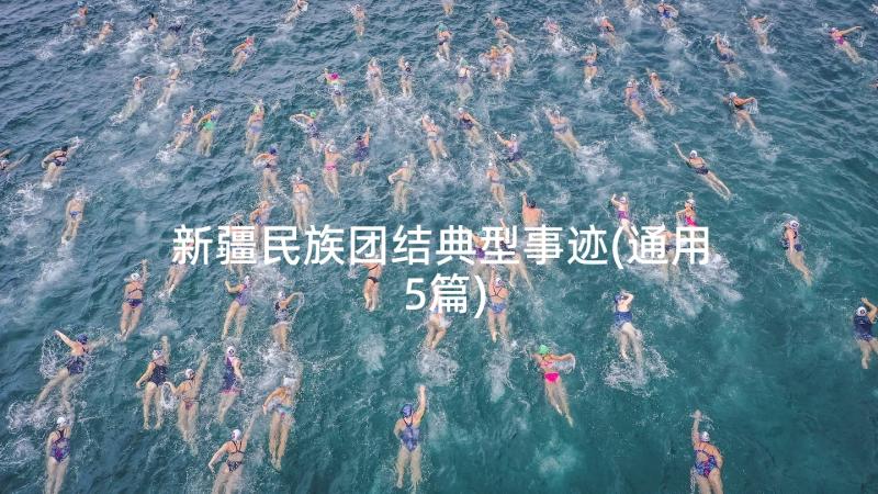 新疆民族团结典型事迹(通用5篇)