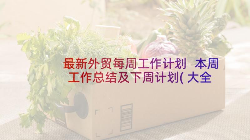 最新外贸每周工作计划 本周工作总结及下周计划(大全10篇)