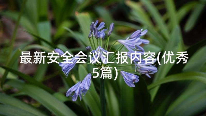 最新安全会议汇报内容(优秀5篇)