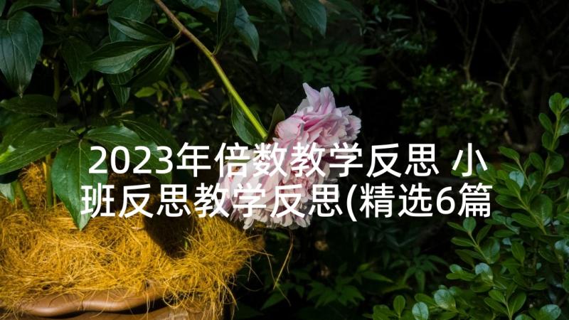 2023年倍数教学反思 小班反思教学反思(精选6篇)