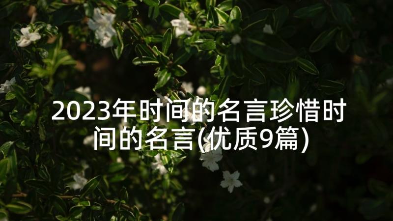 2023年时间的名言珍惜时间的名言(优质9篇)