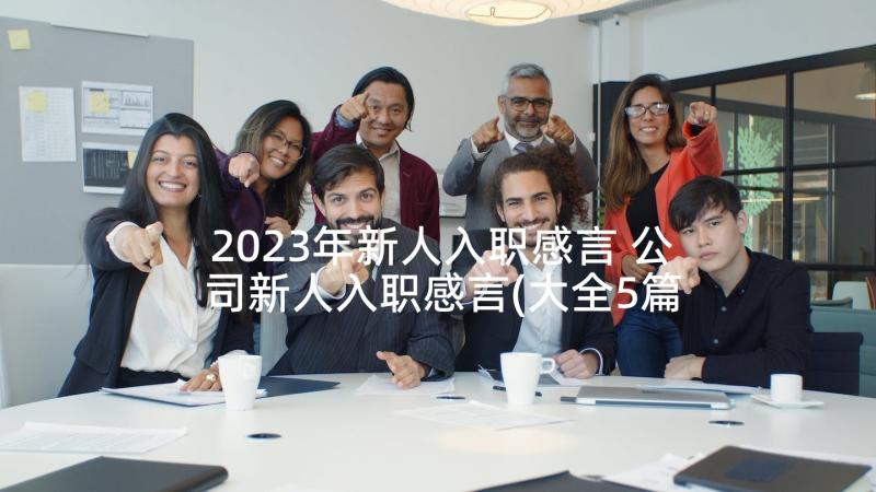 2023年新人入职感言 公司新人入职感言(大全5篇)