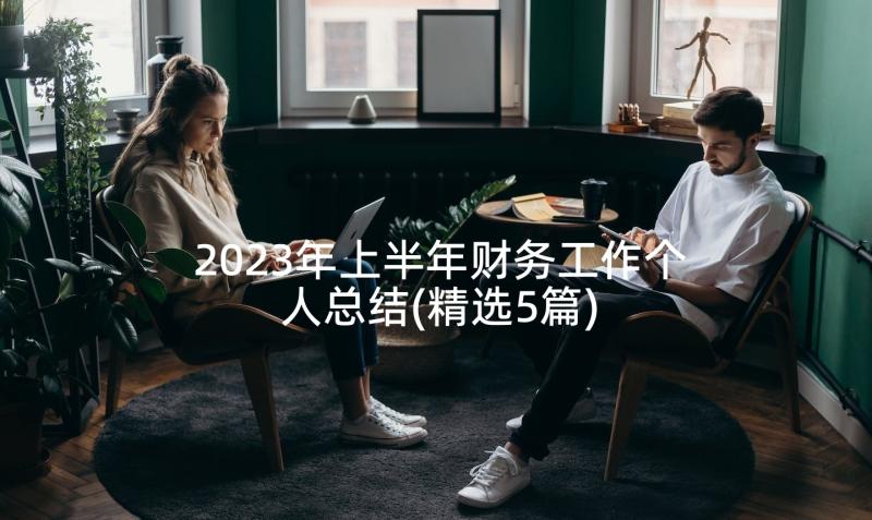 2023年上半年财务工作个人总结(精选5篇)