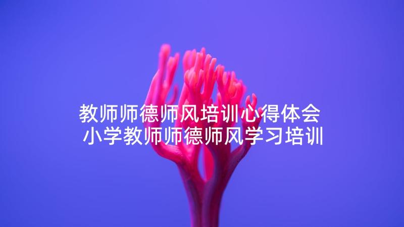 教师师德师风培训心得体会 小学教师师德师风学习培训心得体会(优秀5篇)