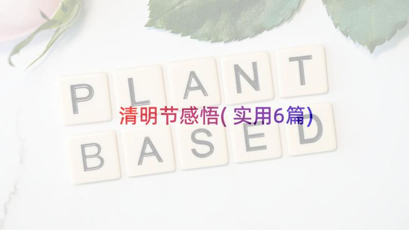 清明节感悟(实用6篇)