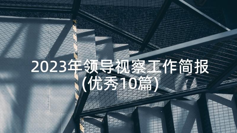 2023年领导视察工作简报(优秀10篇)