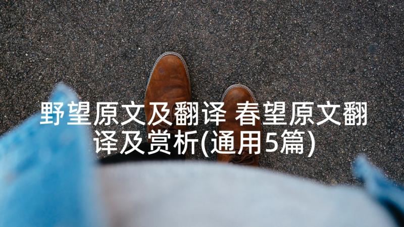 野望原文及翻译 春望原文翻译及赏析(通用5篇)